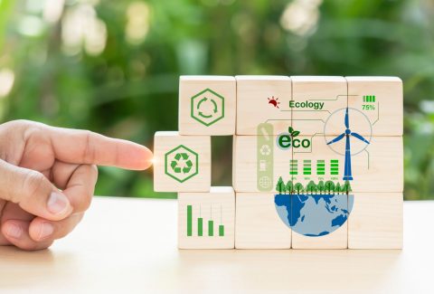 sustainable green economy